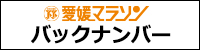 愛媛マラソン大会ホームページバックナンバー